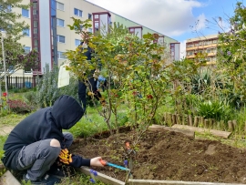 Ein Jugendlicher im grauen Hoodie harkt ein Gartenbeet.