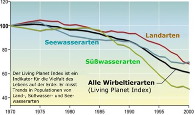 Vom Basisjahr 1970 bis 2000 nahm die Artenvielfalt des Living Planet Index insgesamt um 40% ab. Abbildung aus: Millennium Ecosystem  Assessment, Biodiversity Synthesis, Seite 47